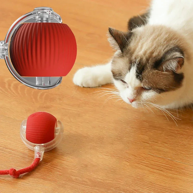 🐾 Interaktiv Kattboll med Stark Drivkraft & Fågelljud