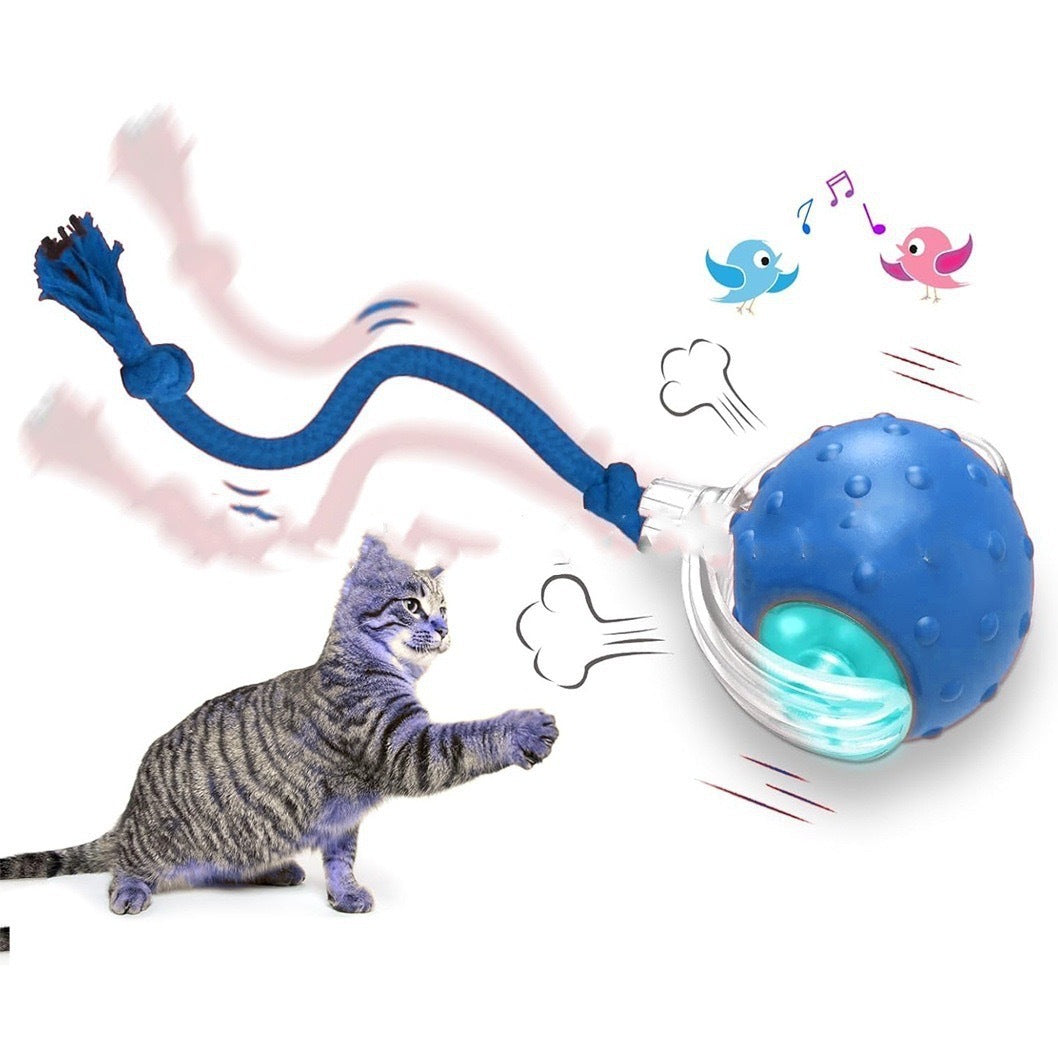 🐾 Interaktiv Kattboll med Stark Drivkraft & Fågelljud