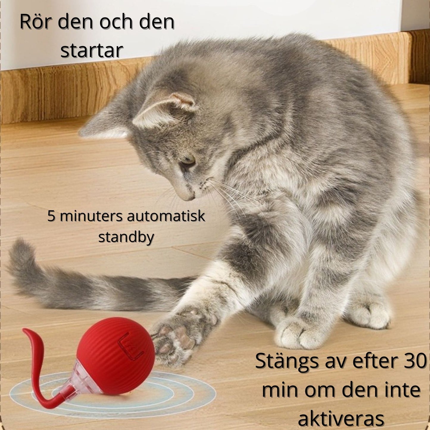 🐾 Interaktiv Kattboll med Stark Drivkraft & Fågelljud