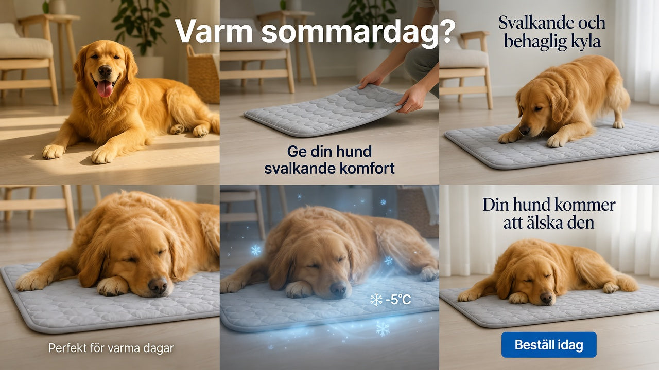 CoolPaws™ – Kylande Matta för Husdjur