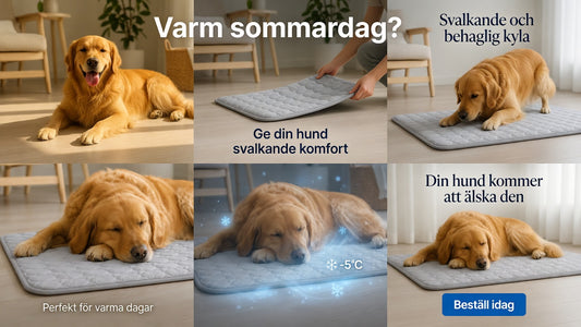 CoolPaws™ – Kylande Matta för Husdjur