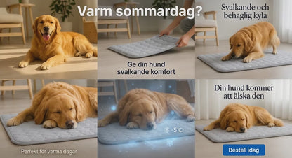 CoolPaws™ – Kylande Matta för Husdjur