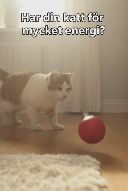 🐾 Interaktiv Kattboll med Stark Drivkraft & Fågelljud