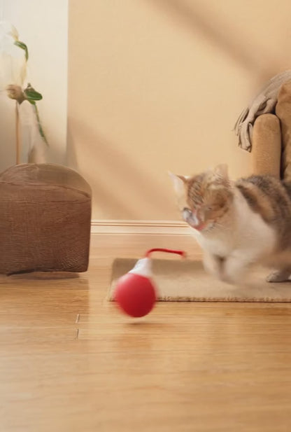 🐾 Interaktiv Kattboll med Stark Drivkraft & Fågelljud