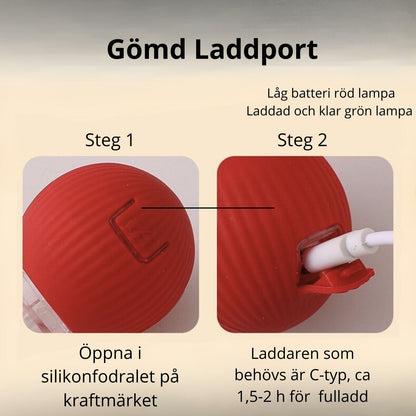 🐾 Interaktiv Kattboll med Stark Drivkraft & Fågelljud